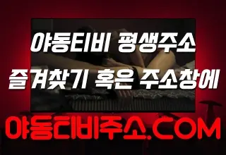 야동티비평생주소